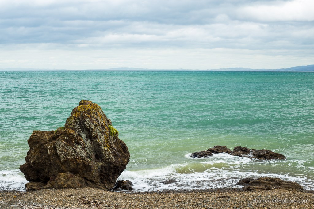 20141215-IMG_0752-0010