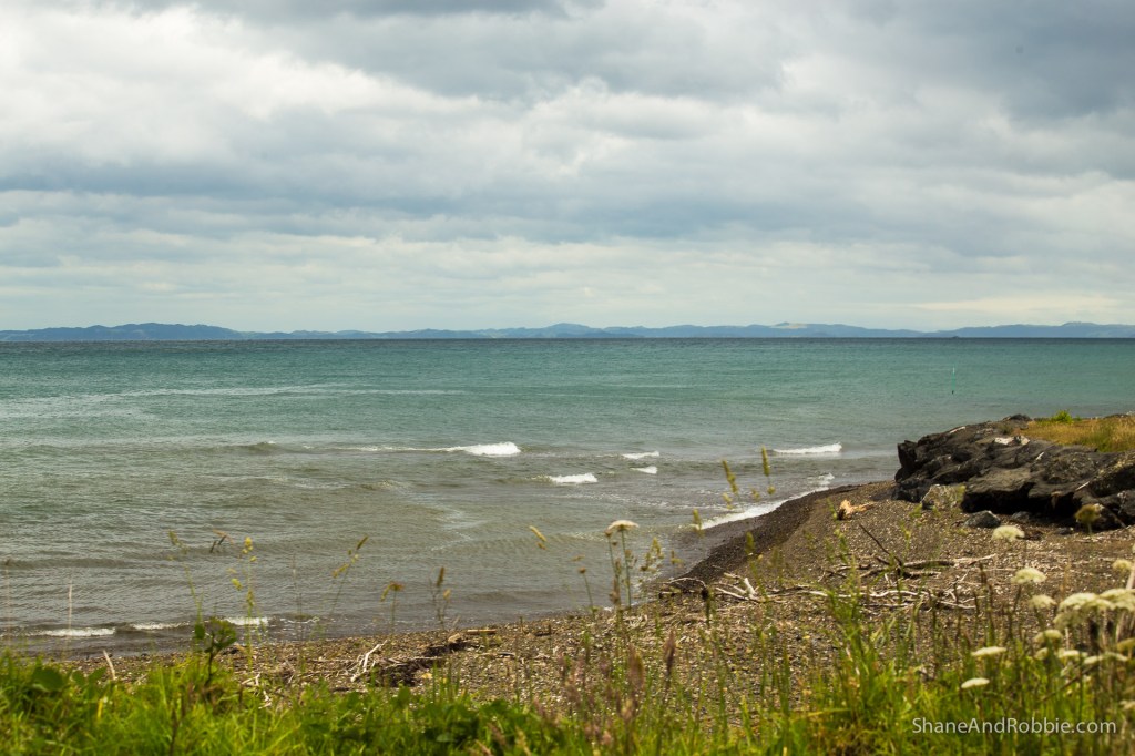 20141215-IMG_0763-0012