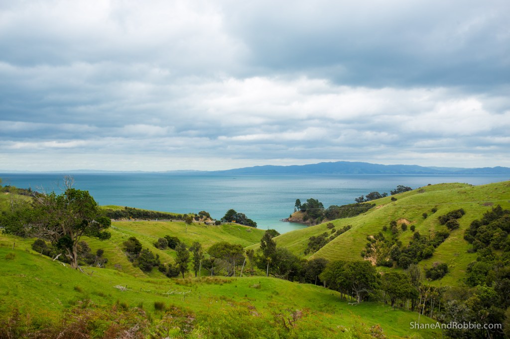 20141215-IMG_0775-0015