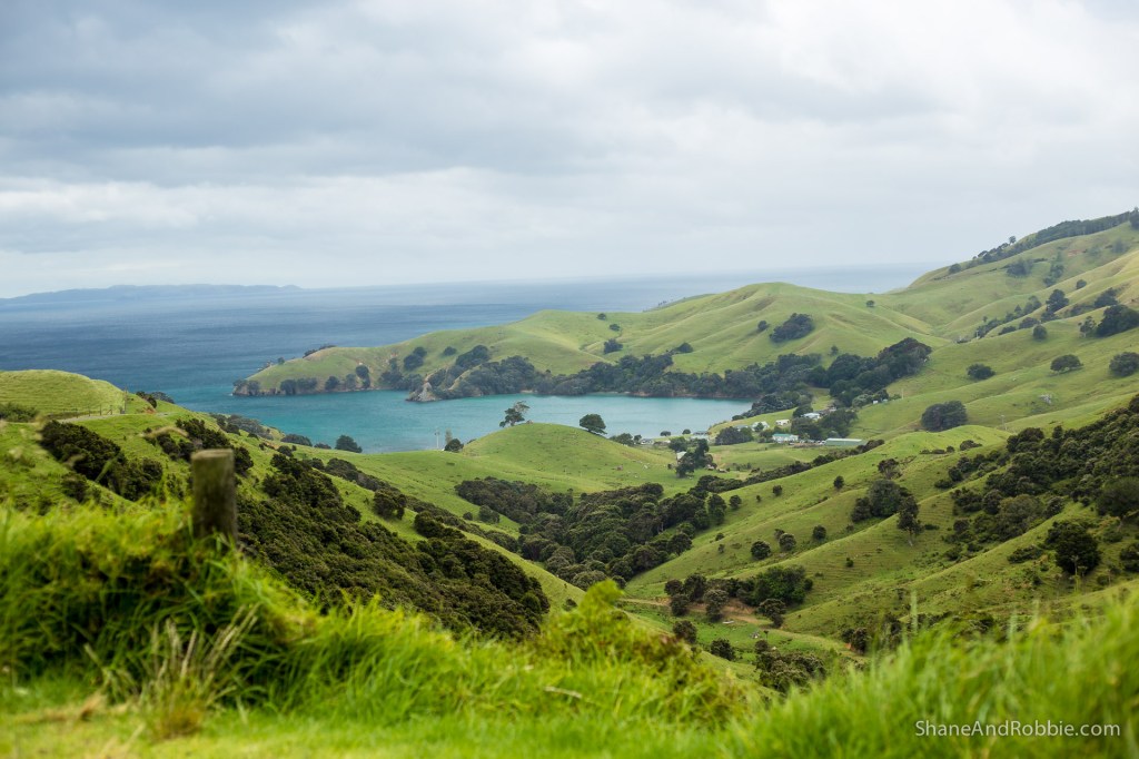 20141215-IMG_0781-0016