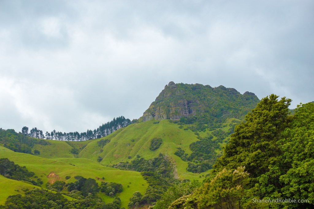 20141215-IMG_0782-0017