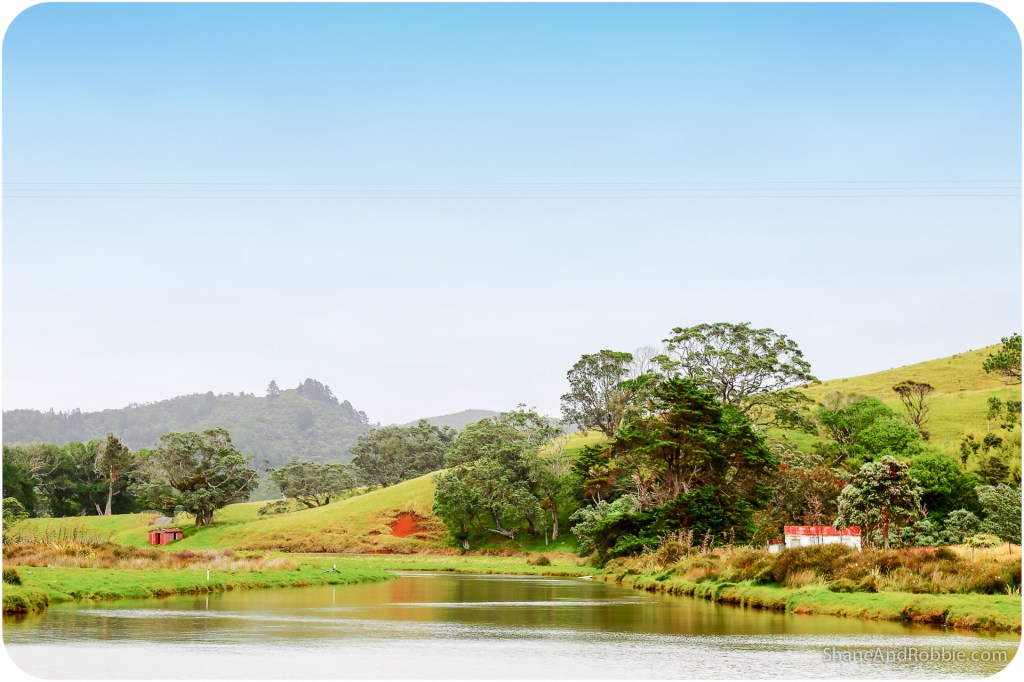 20141216-IMG_0810-Edit-0011