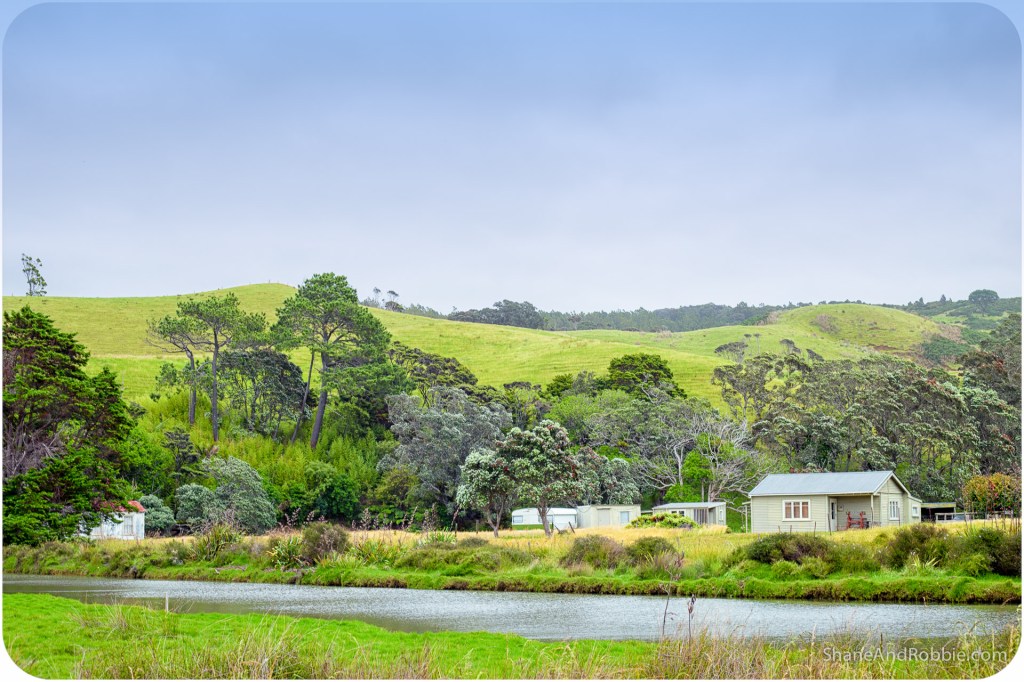 20141216-IMG_0823-Edit-0016