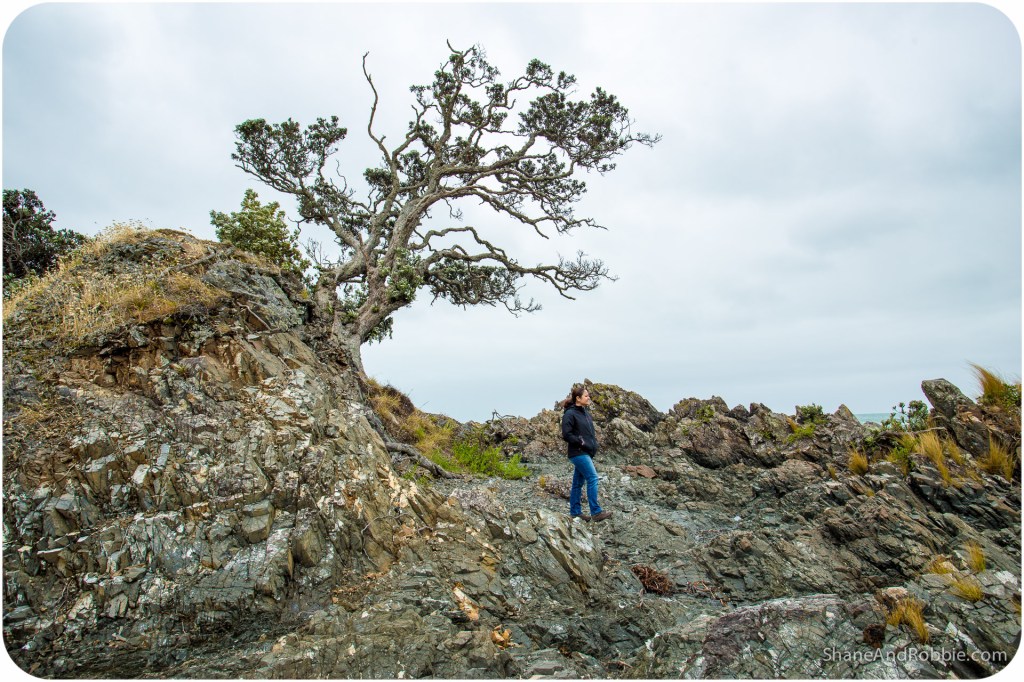 20141216-IMG_0833-0021