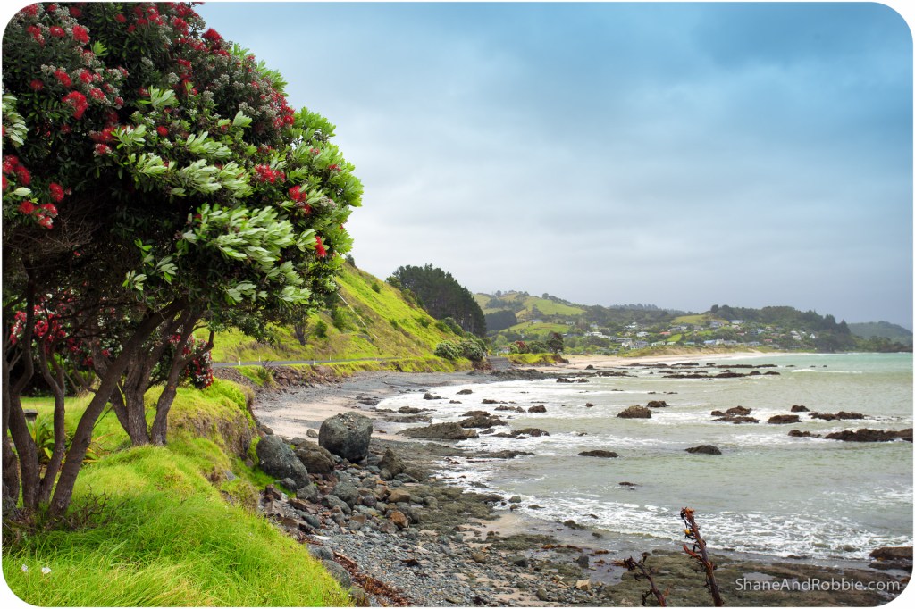 20141216-IMG_0839-Edit-0023