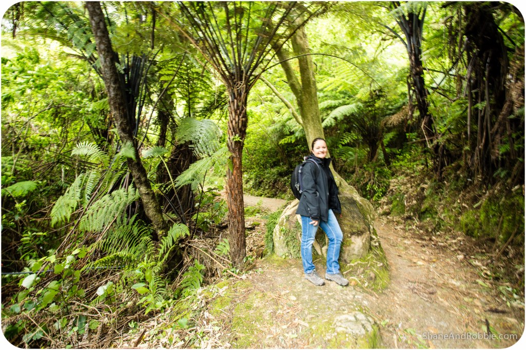 20141216-IMG_0889-0032