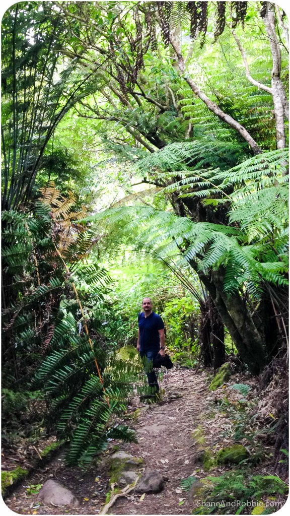 20141216-IMG_3852-0006